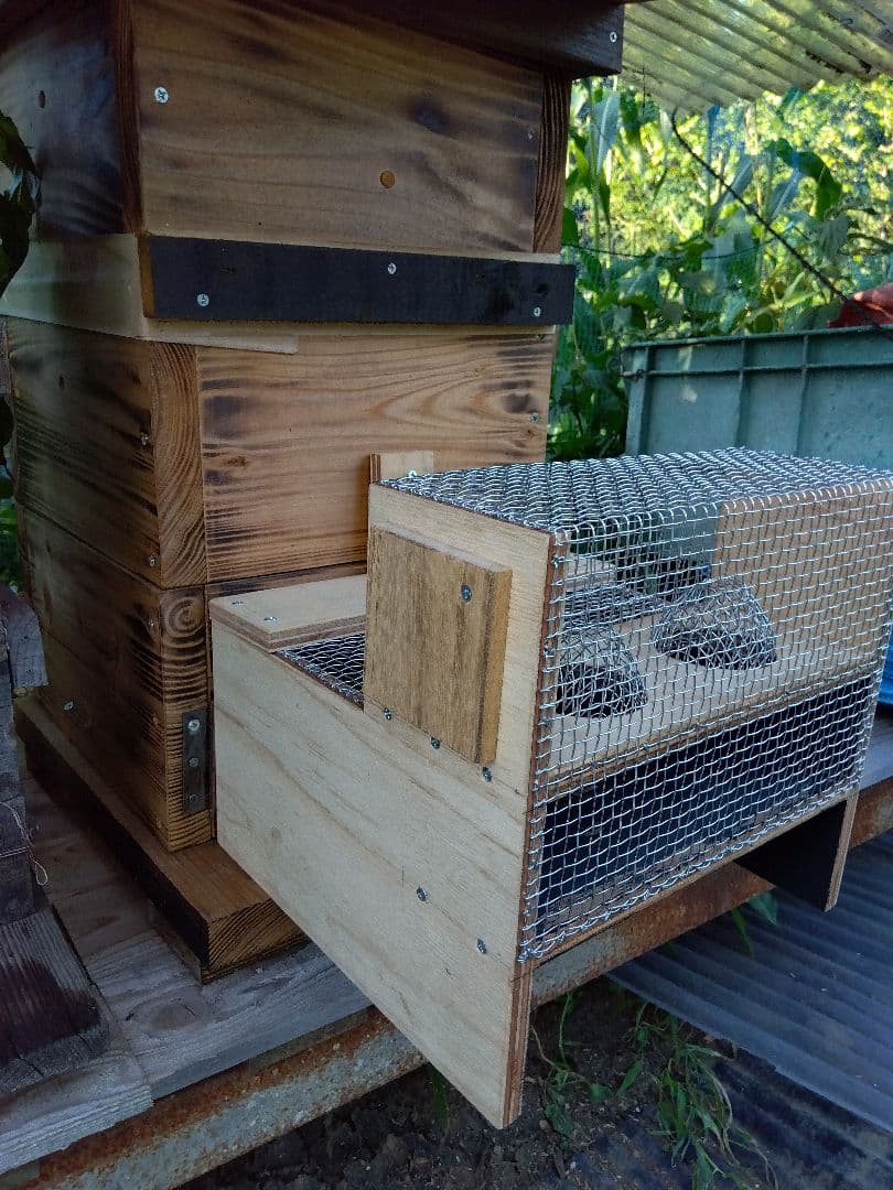 スズメバチトラップ ２個売り