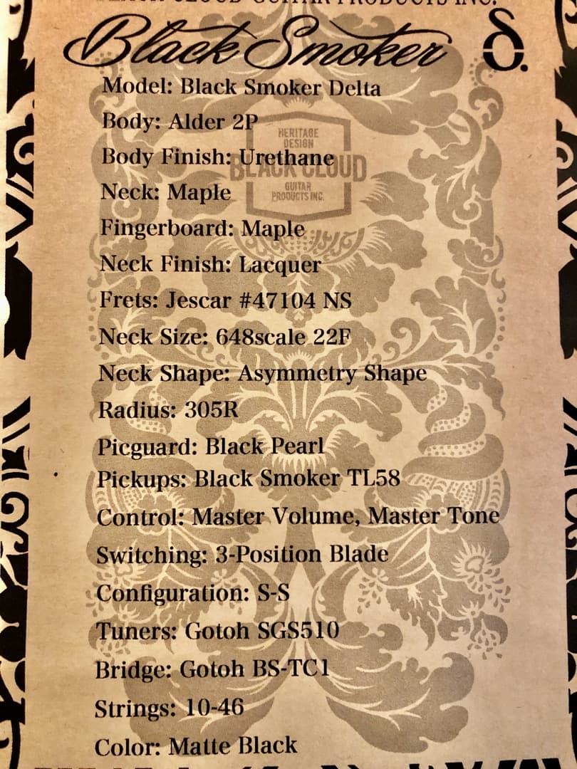 Black Smoker Delta エレキギター