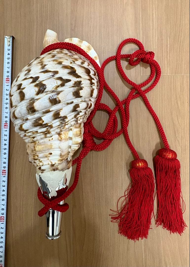 特大修験道法螺貝　　ほら貝　ホラガイ　密教　山伏　赤紐付き