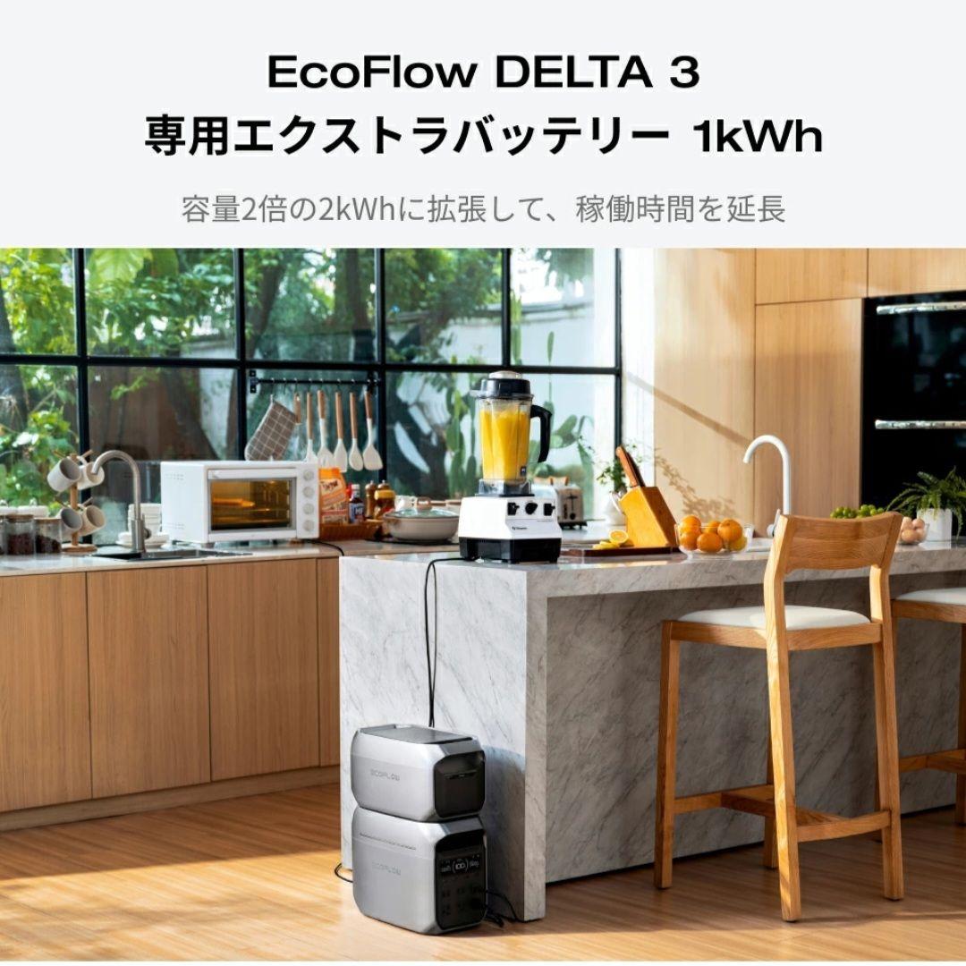 新品 EcoFlow DELTA 3 専用 エクストラバッテリー Plus 2