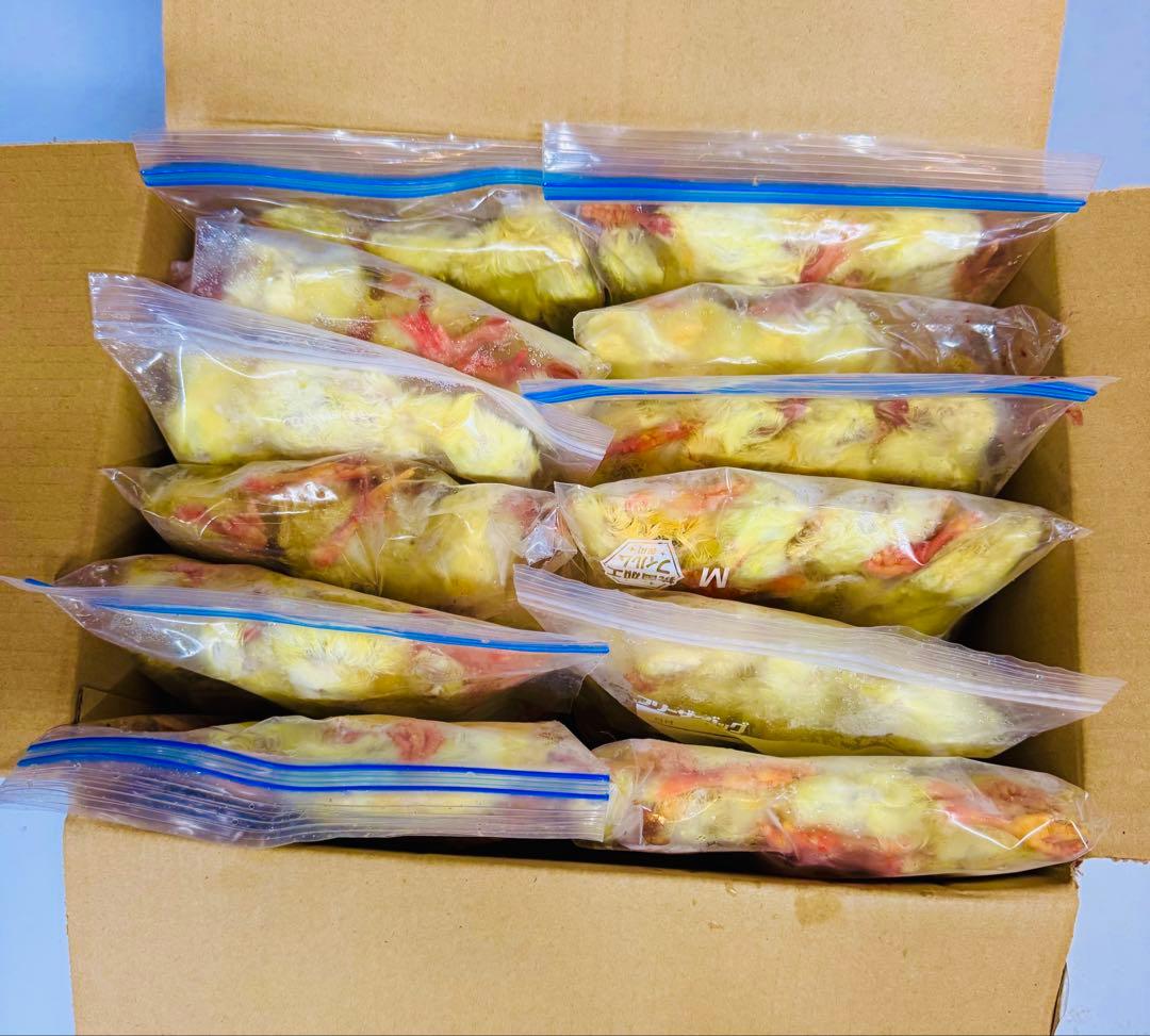 リピート購入、複数購入で＋10羽 送料無料 国産 新鮮安全 冷凍ひよこ 300羽