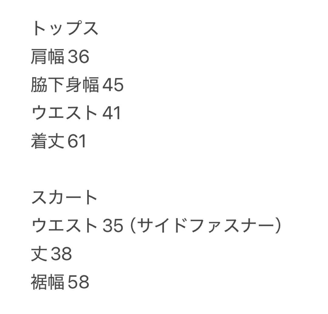 長袖ポロシャツ　ダンボール素材フレアスカート　セットアップ　秋冬　サイズS 新品
