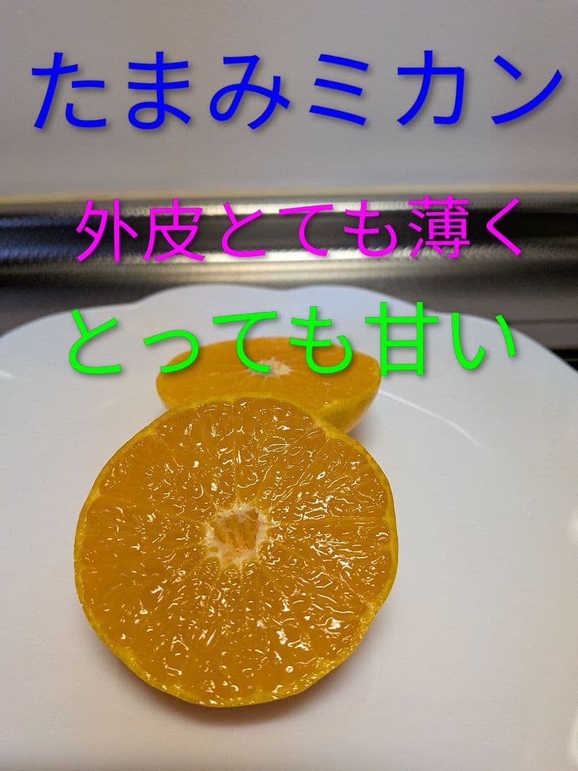 トオル　瀬戸田産　小粒たまみミカン＆レモン＆花柚子　箱込み15kg