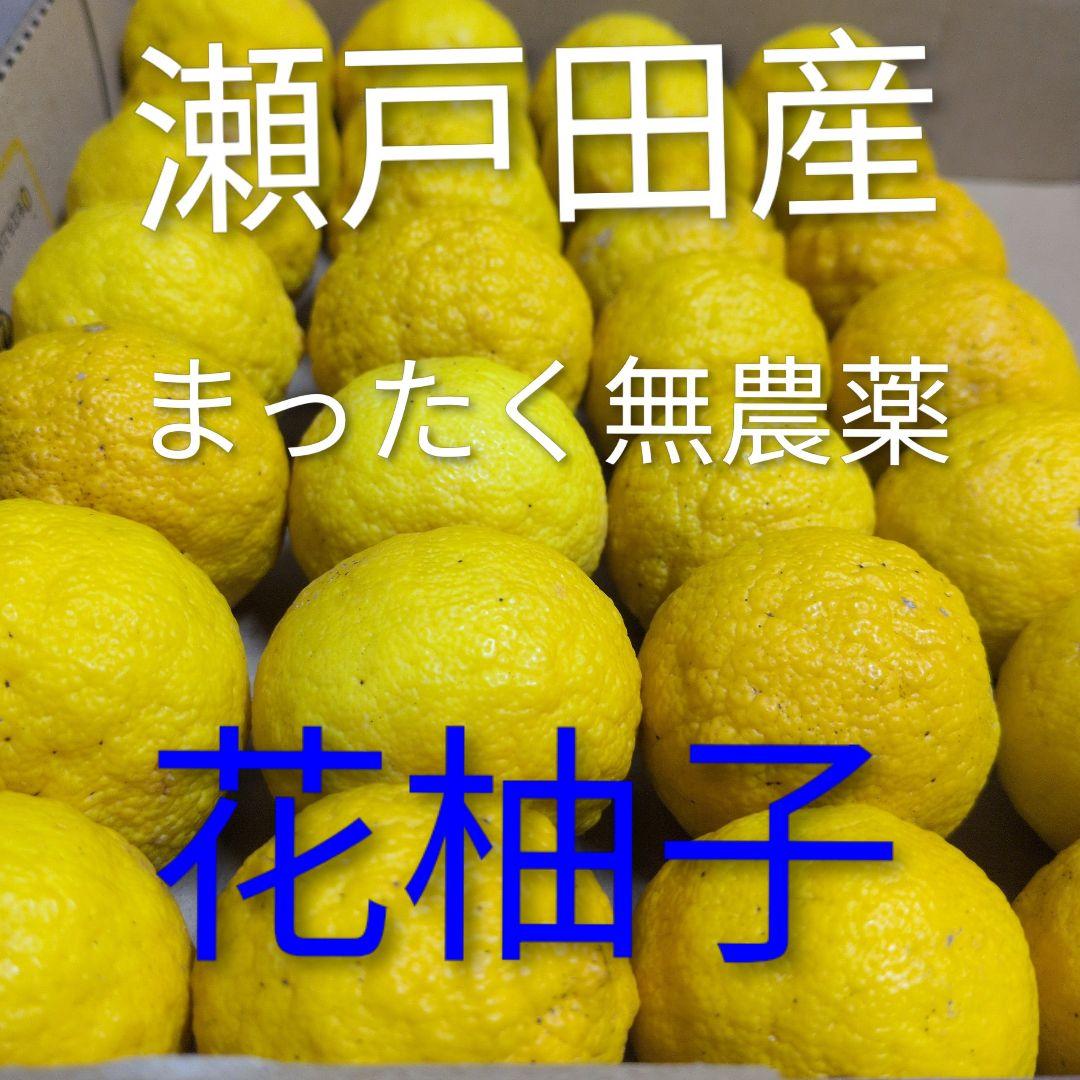 トオル　瀬戸田産　小粒たまみミカン＆レモン＆花柚子　箱込み15kg