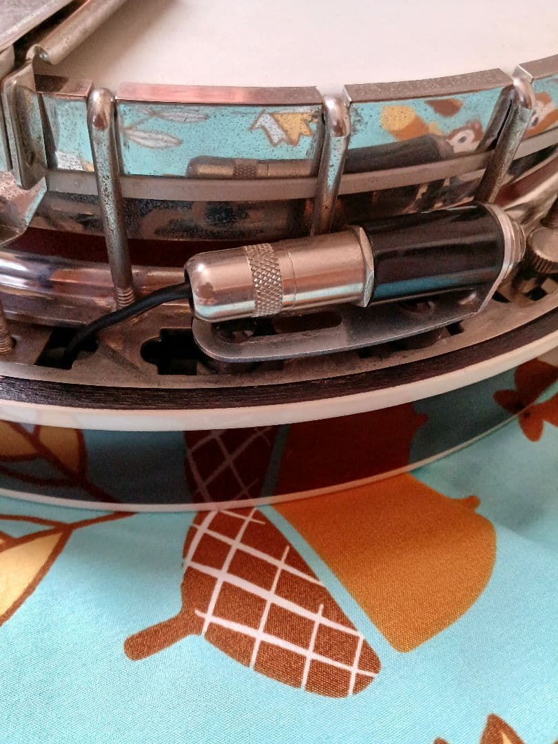 バンジョー Fishman Classic seriesピックアップ