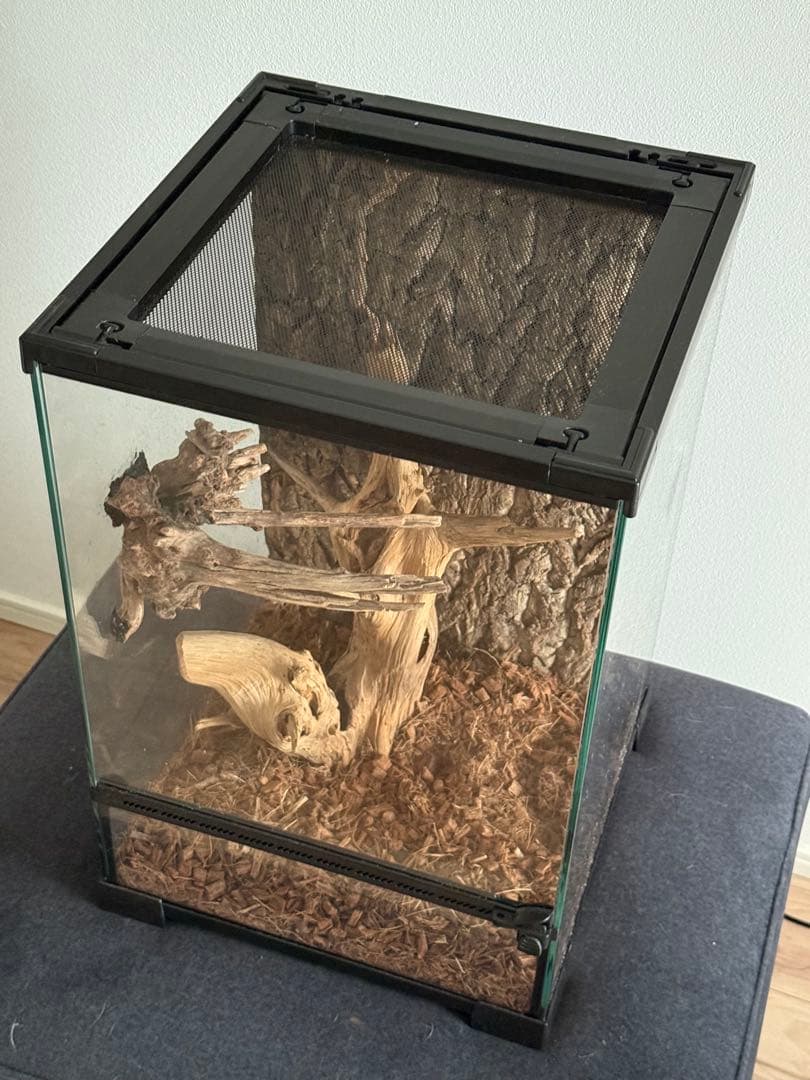 30×30×45中型ガラスケージ 自然な木のレイアウト付