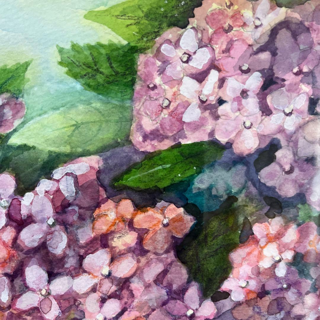 透明水彩画　SＭ　紫陽花　額付　ガラス