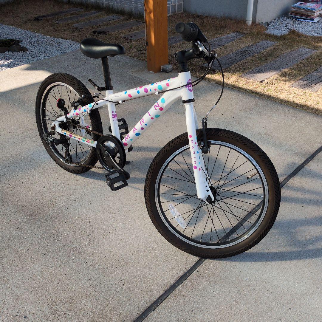 【直接引取り希望】 マーリン20インチ　DONKY JR 20