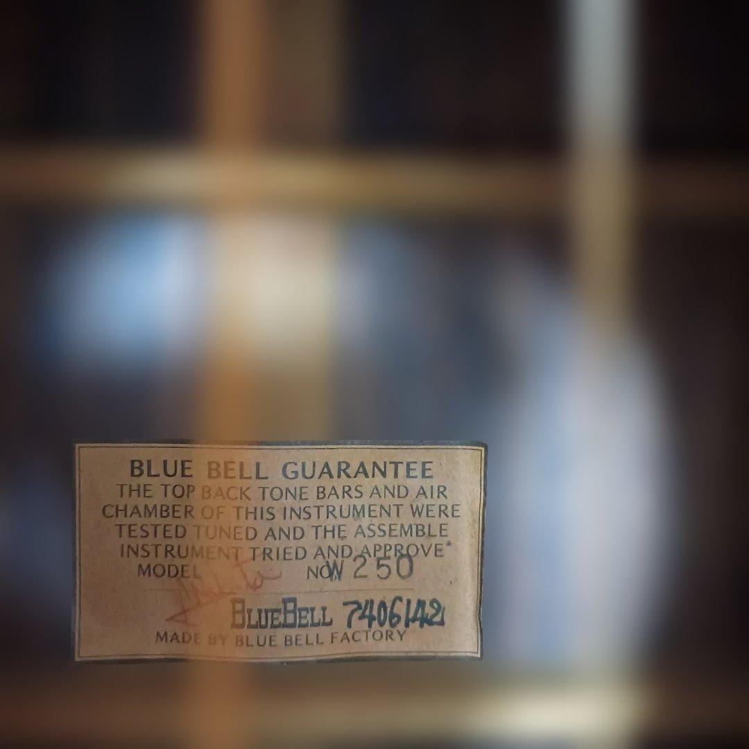 Blue Bell アコースティックギター 250 53年前位ですがいい音します