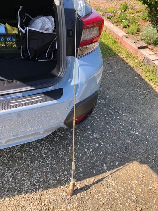 レスターファイン　ミノージャック