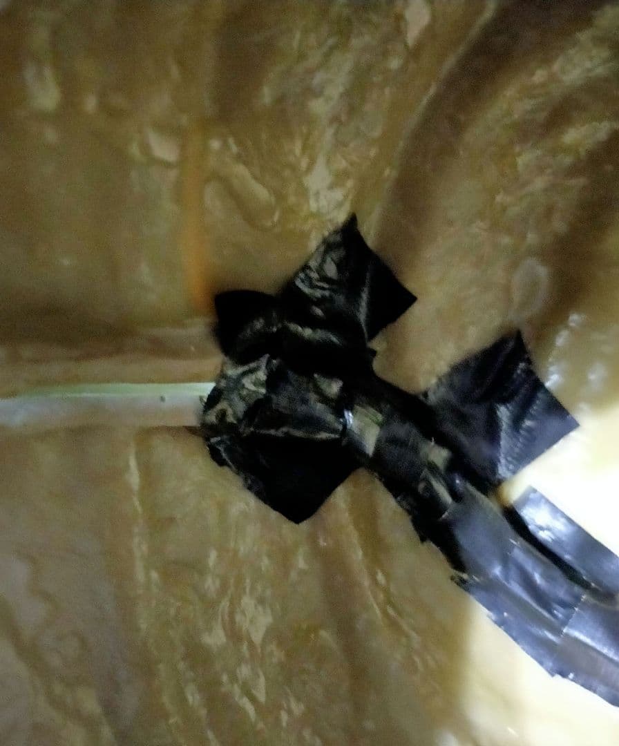 仮面ライダートドロキ