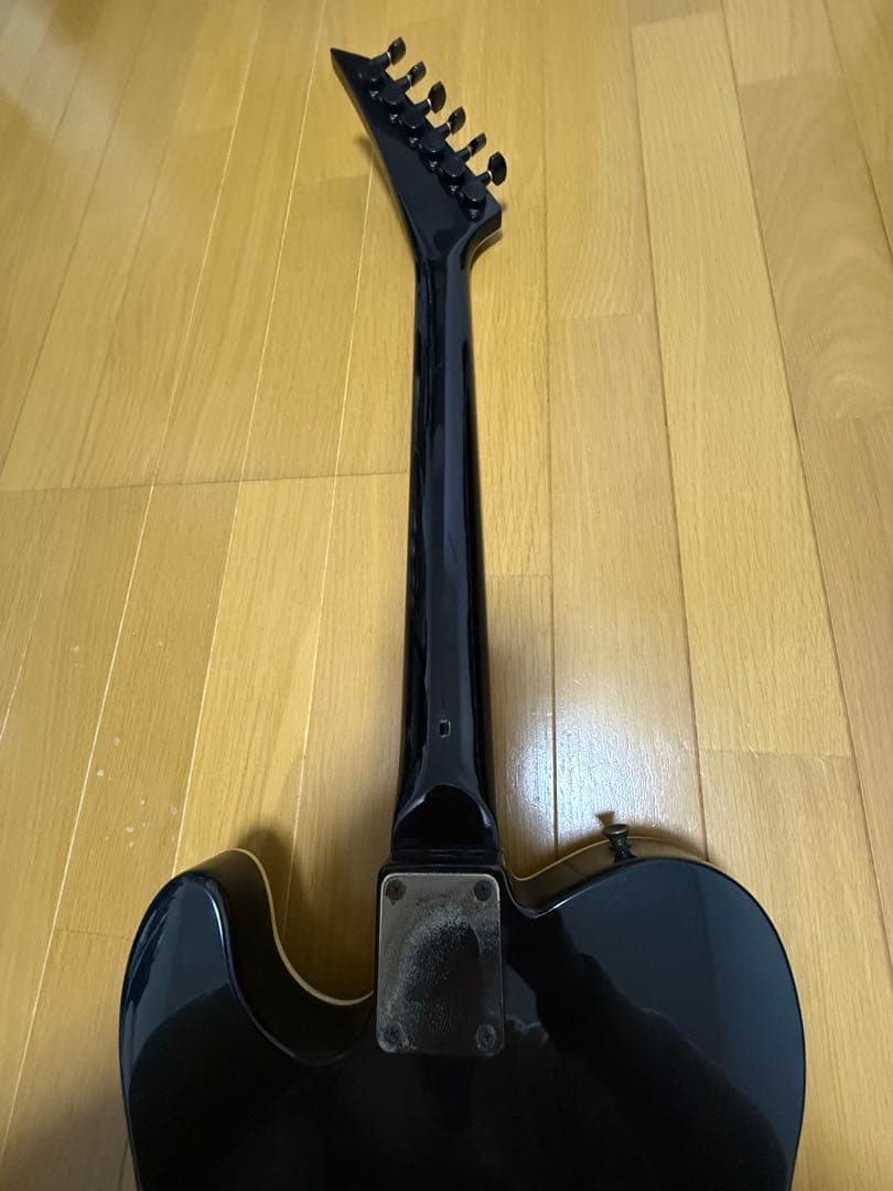 フェルナンデスTEJサスティナー布袋モデル