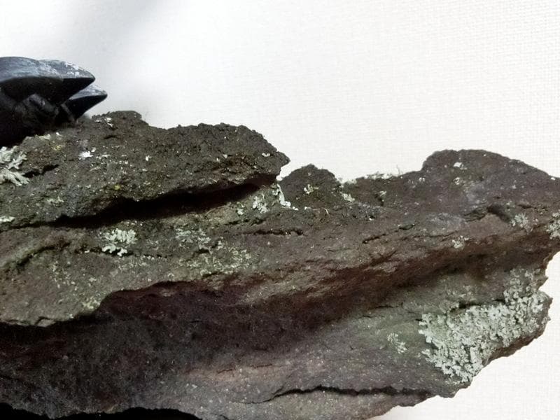 ゴジラ フィギュア 苔 溶岩プレート 台座 横49×高さ39cm 制作品