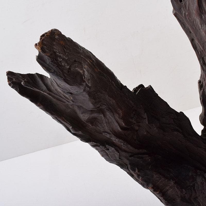 中国　天然木　鑑賞木　木彫り　人物像　D　R8996H