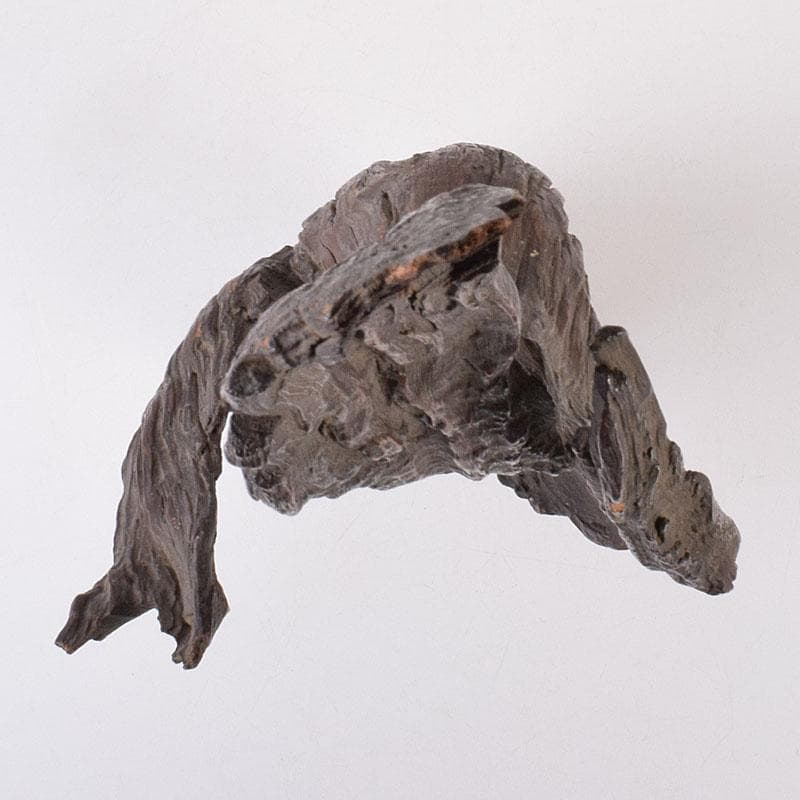 中国　天然木　鑑賞木　木彫り　人物像　D　R8996H