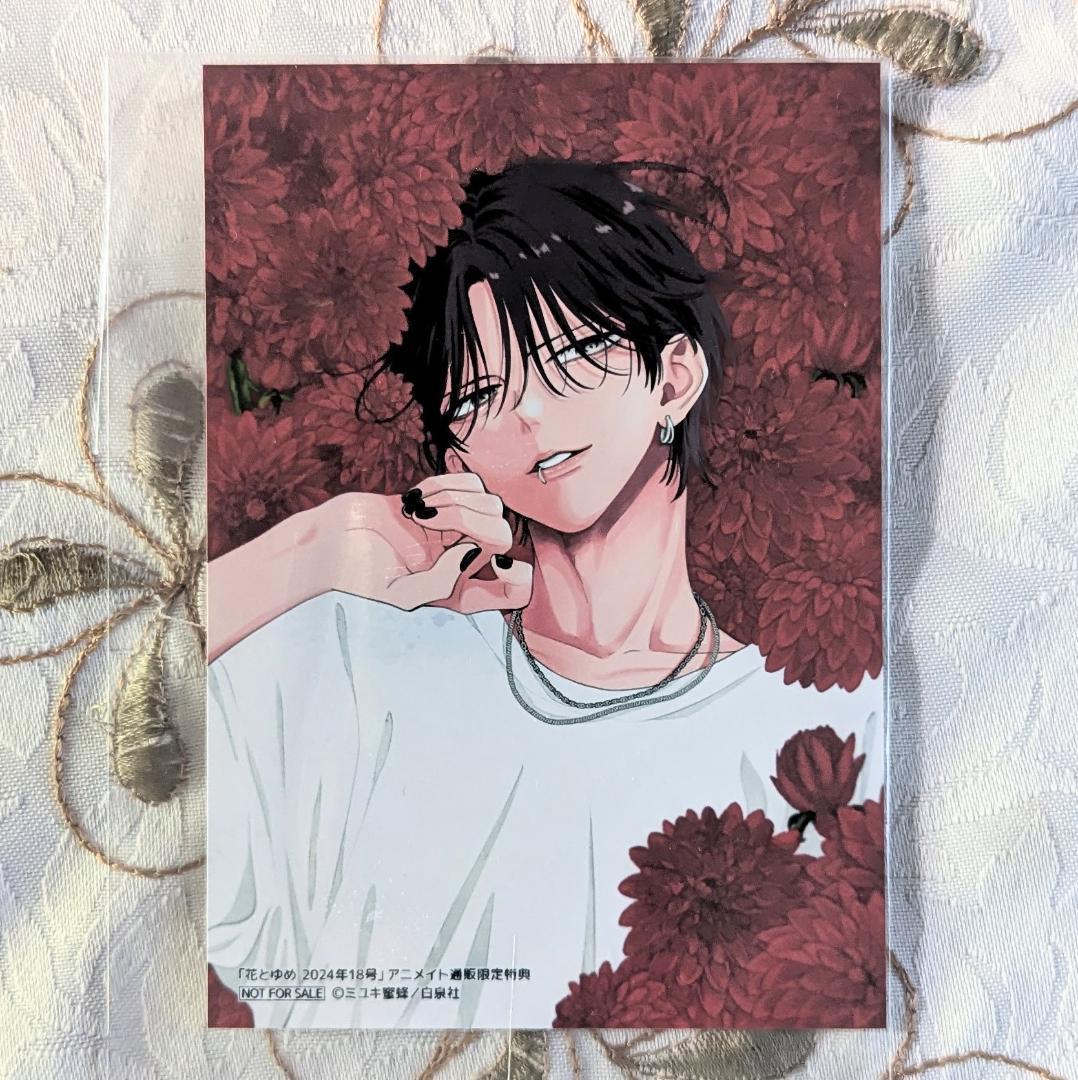 春の嵐とモンスター5～9＆花とゆめ付録 54特典セット アクスタ 栢くん