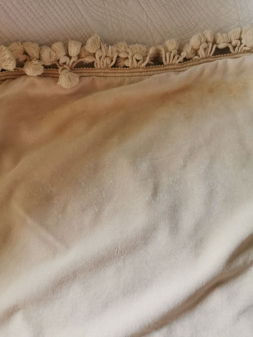 アンティークフランス コーラル 赤珊瑚オービュッソン織タッセル付クッションカバー