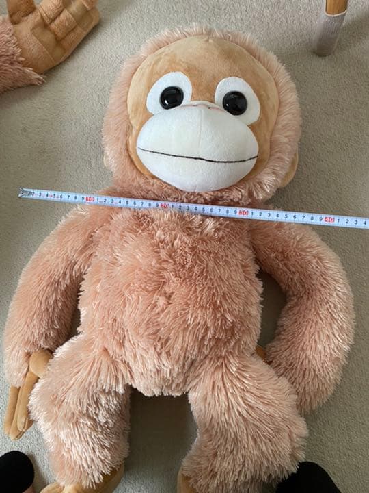 ベイビーココ　ぬいぐるみ