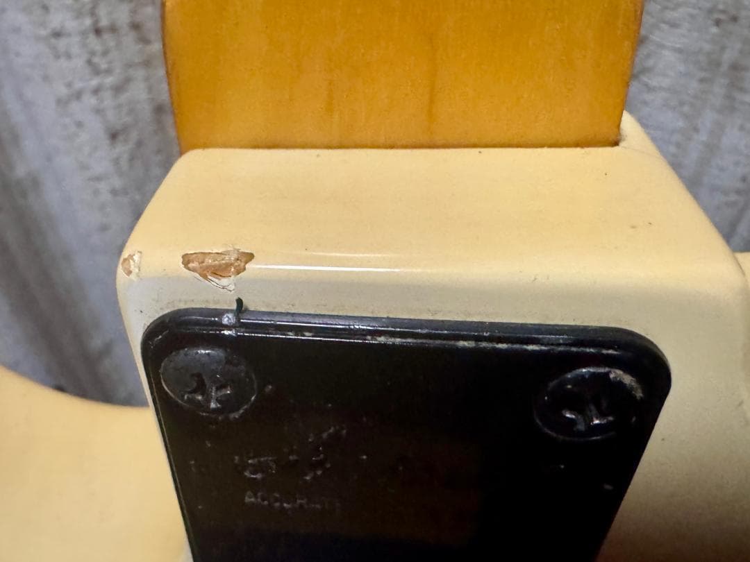 ね*こ様 Aria ProⅡ Diamond Series White ソフトケ