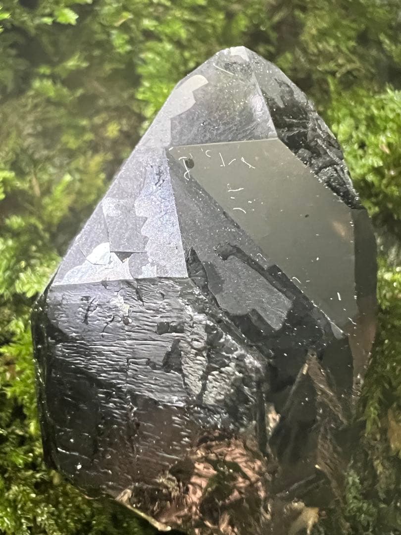 龍脈の精髄 九州産黒水晶 「闇を封じる最強の護り」【保護猫活動支援】