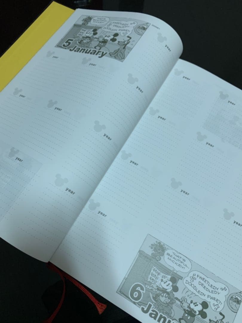 10年日記☆ミッキーマウス