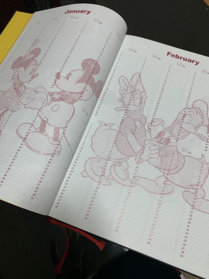 10年日記☆ミッキーマウス