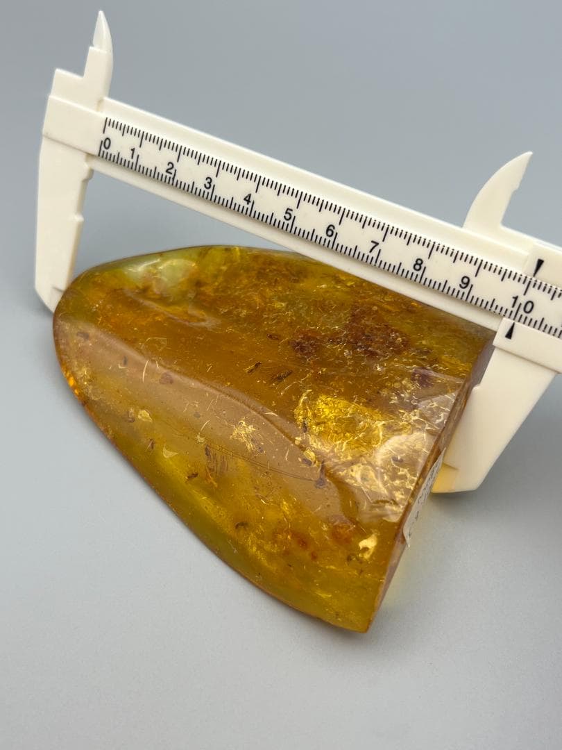 虫入り琥珀　蜘蛛　蚊　多種多様な虫を内包　バルティックアンバー　バルト海沿岸地域