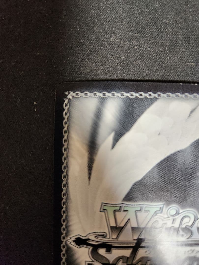 寵愛されし大司教　剣の乙女 sp