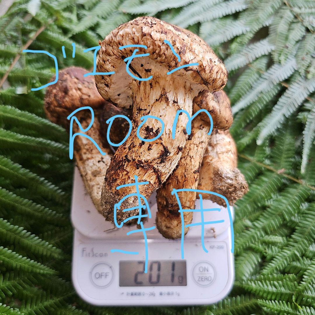 広島県産 松茸 200g