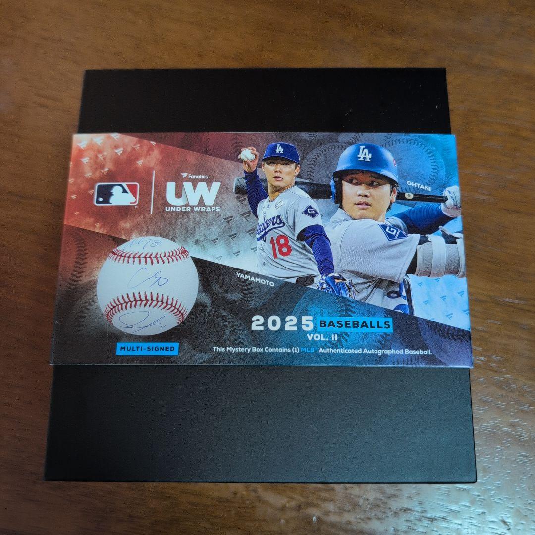 Fanatics Under Wraps アドリー・ラッチマン　直筆サインボール