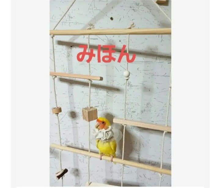 101　インコ　ミニアスレチック　吊り下げセット！　ブランコ　止まり木