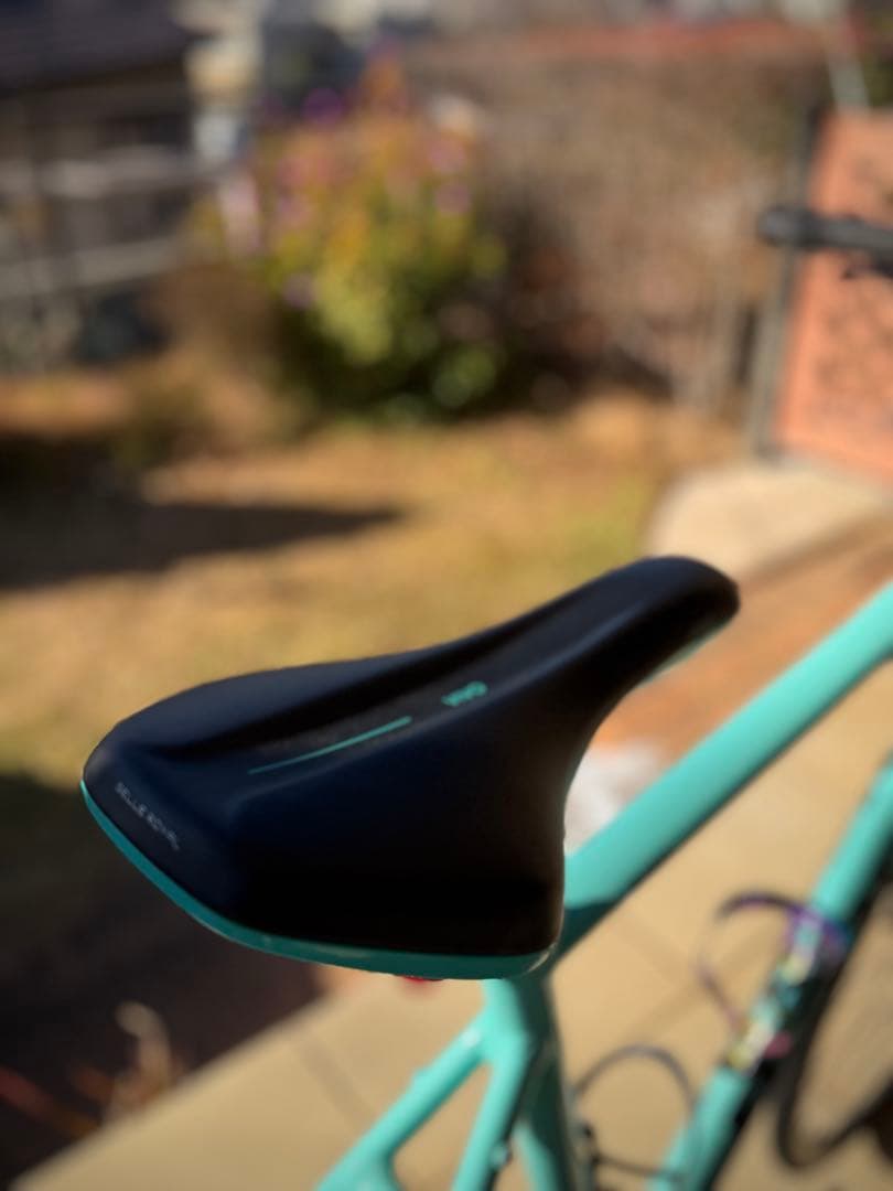 自転車本体 BIANCHI ROMA