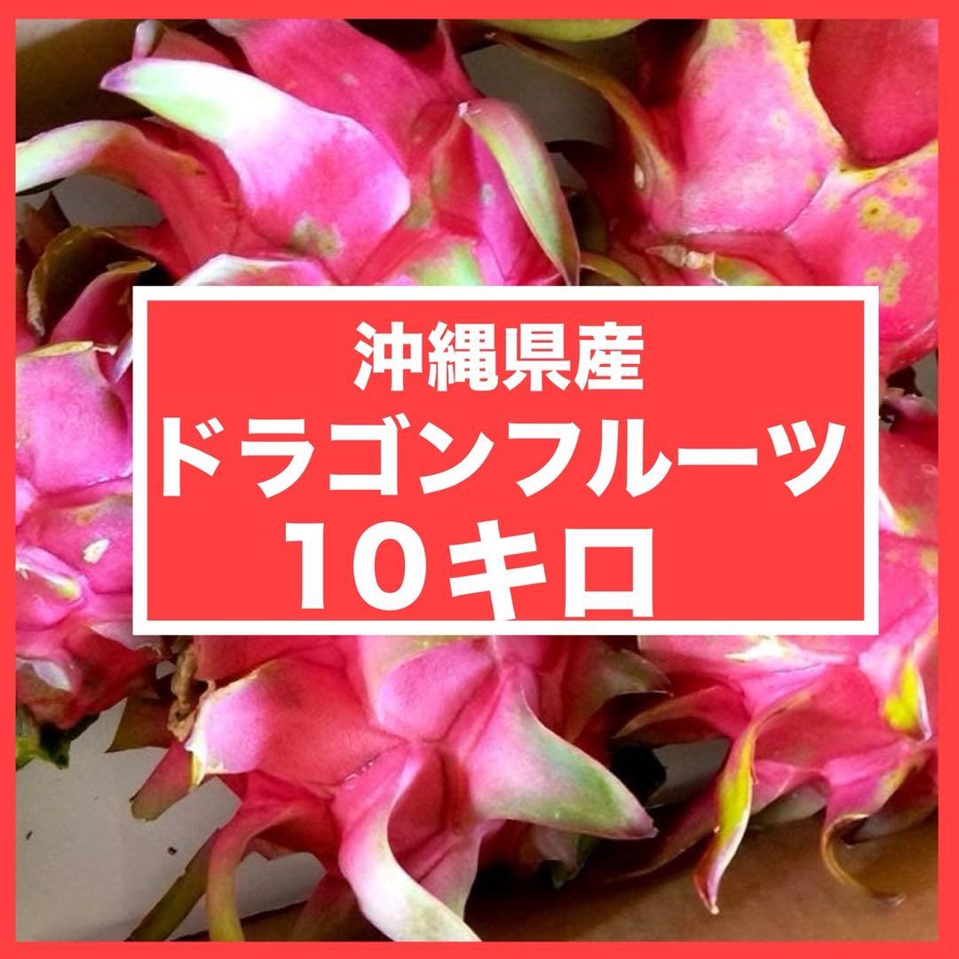 【セール】沖縄県産 ドラゴンフルーツ　赤玉　10キロ