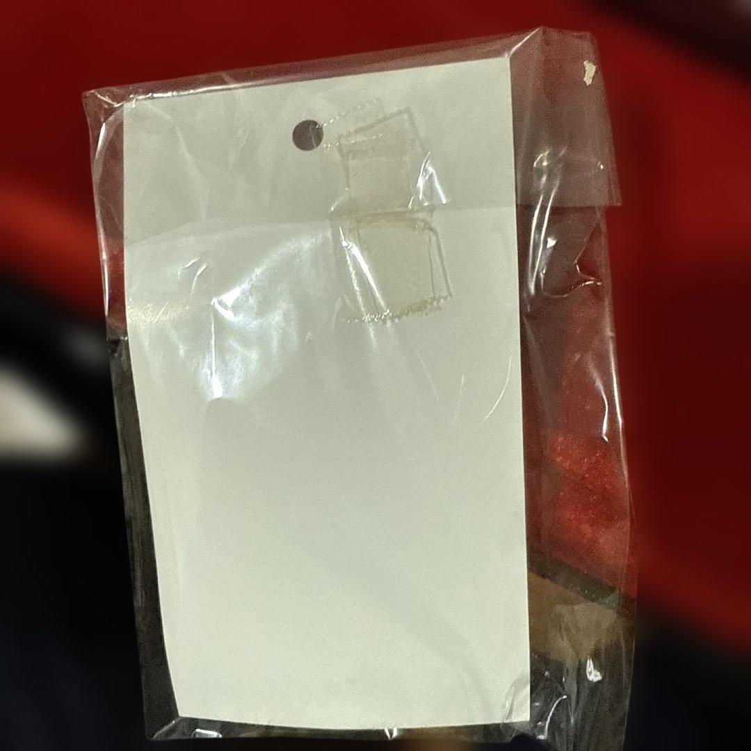 沖縄　三線　弦楽器　ソフトケース付き　リュックタイプ