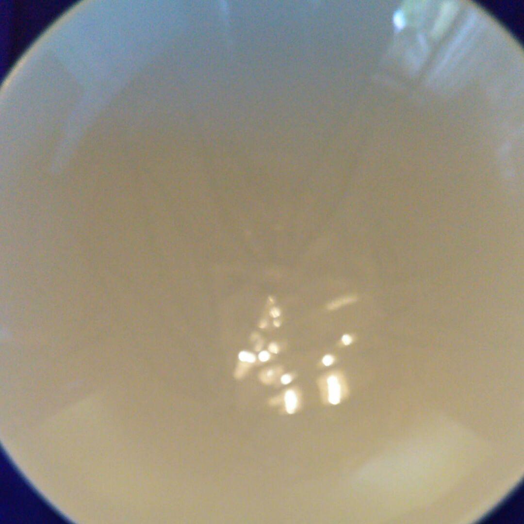 井上萬二人間国宝白磁皿