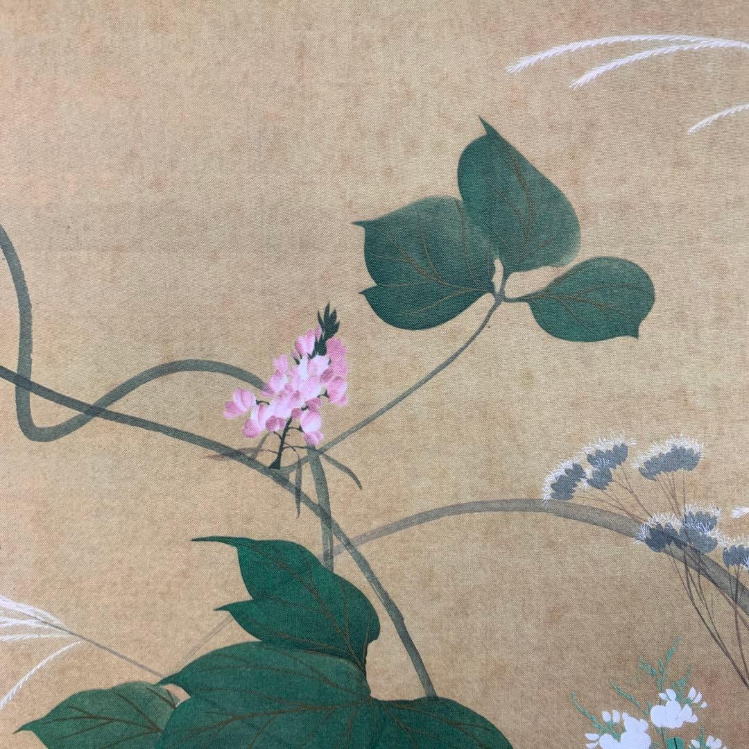 美品 掛け軸 酒井抱一筆 七草図 解説付き 名画