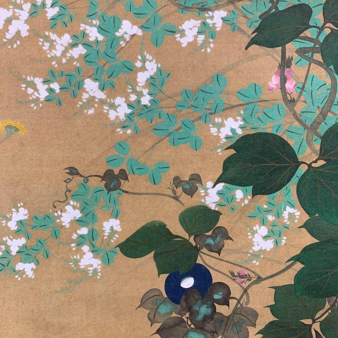 美品 掛け軸 酒井抱一筆 七草図 解説付き 名画