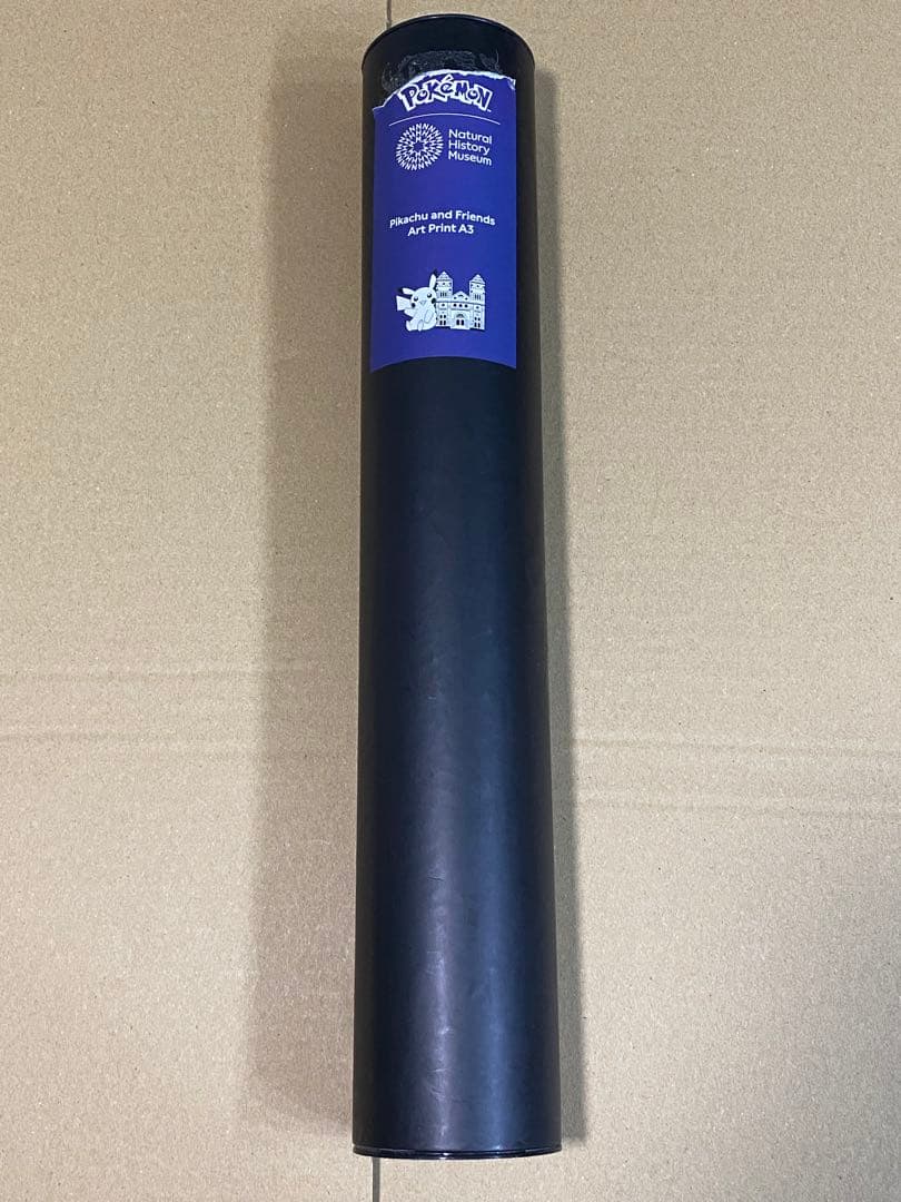ポケモン ロンドン自然史博物館　ピカチュウA3 ポスター　C