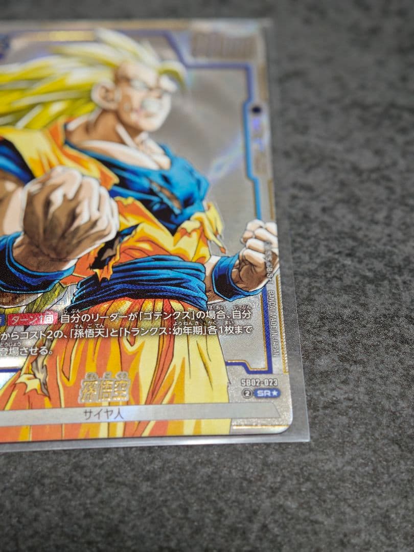 sb02-023　孫悟空　パラレル