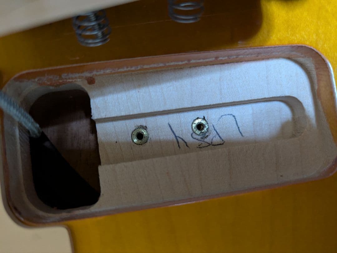 ギター Gibson Limited Edition Les Paul P-90