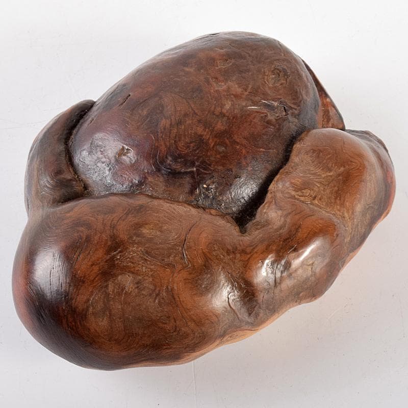 中国　唐木天然木瘤木　紙鎮　置物　V　R5131