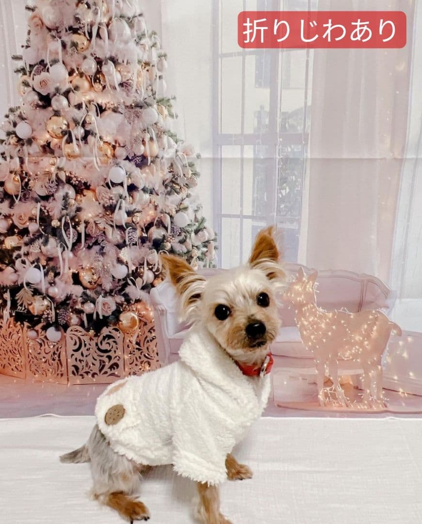 業務用　トリミングチョーカー　バレンタインリボン　苺　いちご　背景布　セット