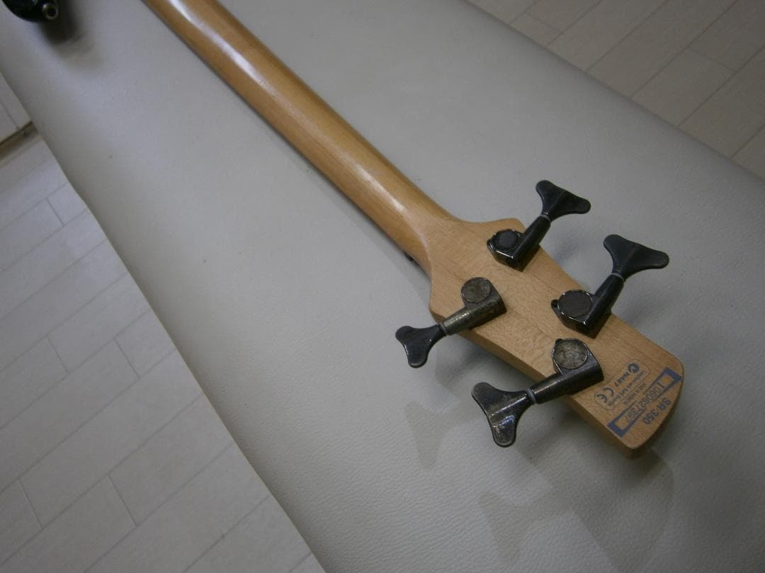 アイバニーズ＜SDGR＞SR350・アクティブタイプ