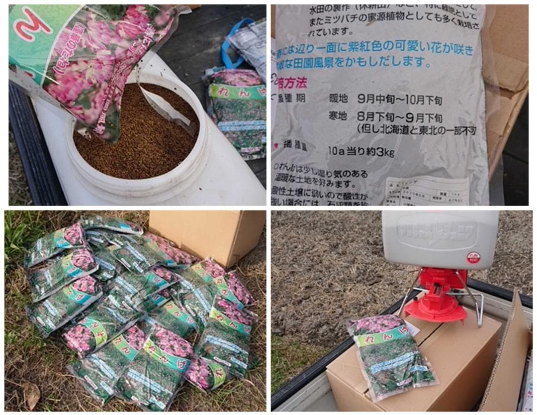 新米　兵庫播州れんげ米　きぬむすめ　７年産　精米　極1等米10Kg　農直送料無料