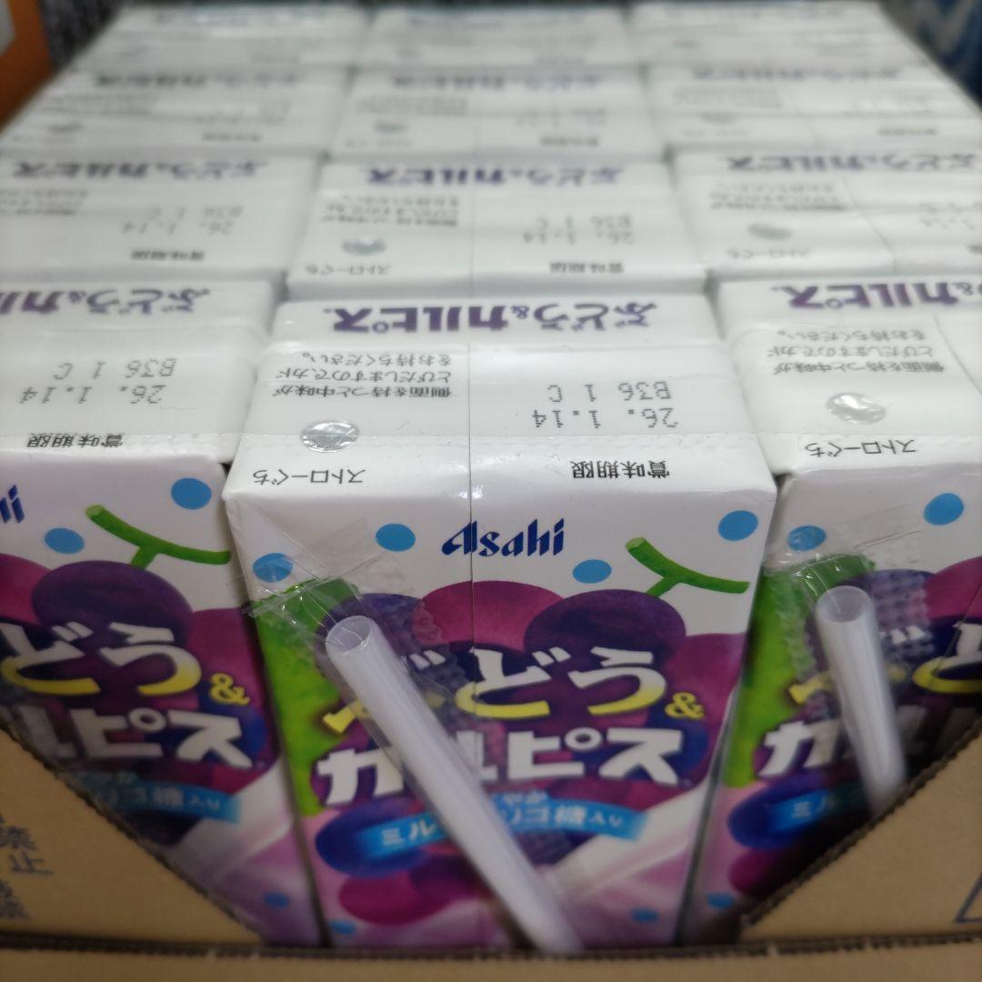 あゆか／確認用です！