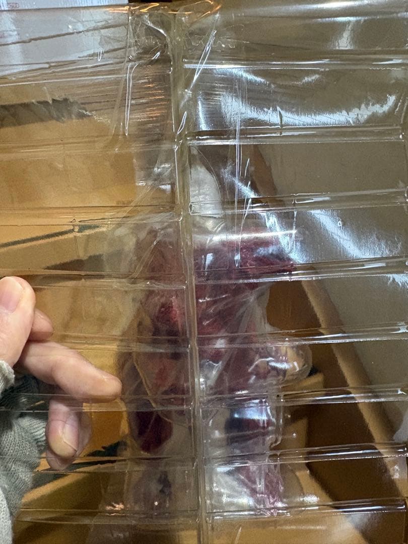 一番くじ 怪獣惑星 ビッグソフビフィギュア ゴジラ 郵便局限定カラー