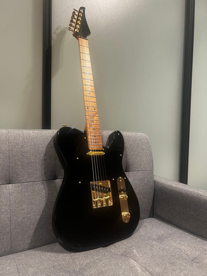 Bacchus BTE-1DX RSM MOD テレキャスター suhr