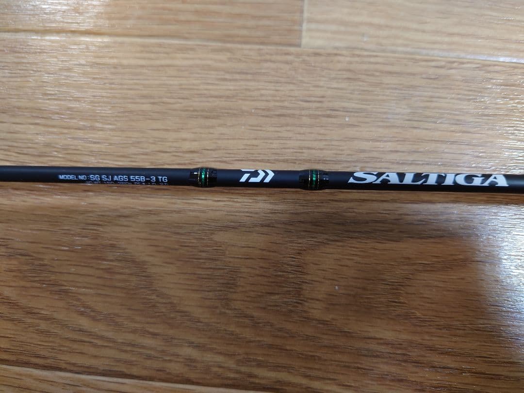 DAIWA スロージギング 21 ソルティガ AGS