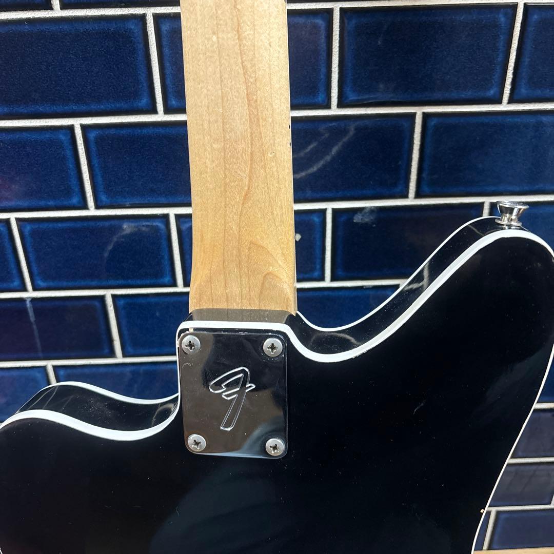 セミホロウジャガー