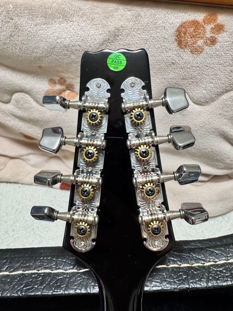 【超美品】Aria AM-20 フラットマンドリン超美品　専用ハードケース 楽器